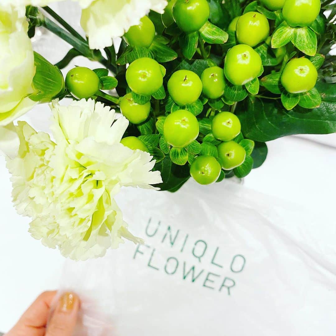 aiaiさんのインスタグラム写真 - (aiaiInstagram)「UNIQLO Flower  ずっと気になっていた UNIQLOのお花💐  1束390円（税別） 3束990円（税別）のプチプライス 1束に3本ほど入っているので 花瓶で飾るには十分な量でした  写真の花は7束分です  UNIQLO FLOWERが 購入できるお店はこちらです  UNIQLO TOKYO UNIQLO 原宿店 UNIQLO PARK  @uniqlo  @uniqlo_jp  @uniqlo_with  @uniqlo_ginza  #uniqlo #ユニクロ #uniqloflower#フラワー  #ユニクロフラワー #ユニクロフラワー原宿店 #花 #花のある暮らし #花束 #花束アレンジ #花束💐  #ユニクロ原宿店」2月11日 21時09分 - saltaiai