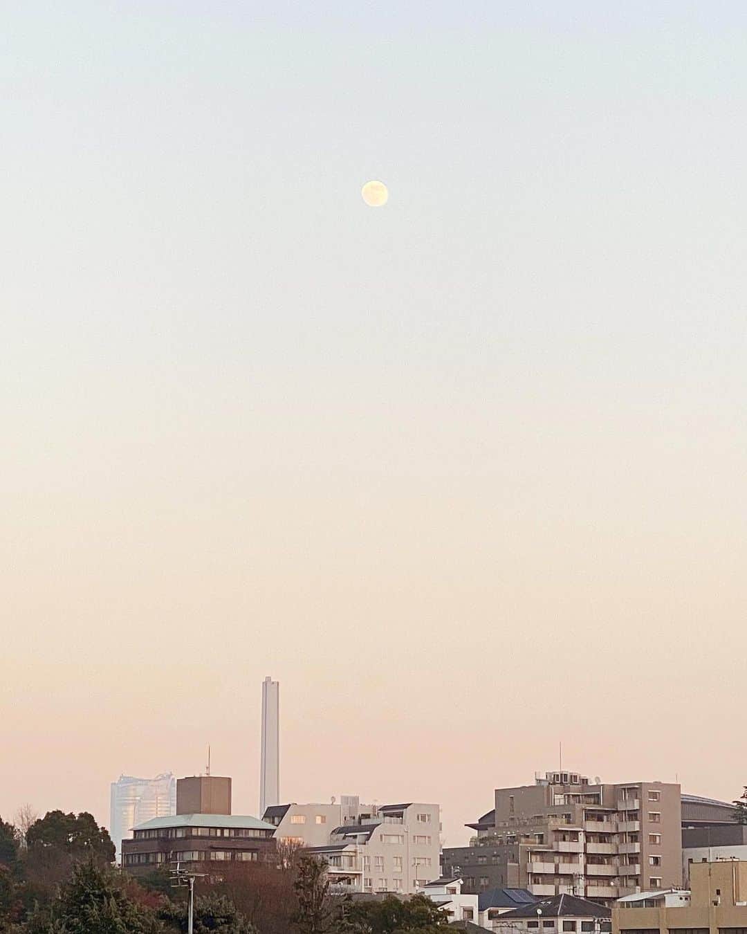 NittaSachikaのグルメインスタ