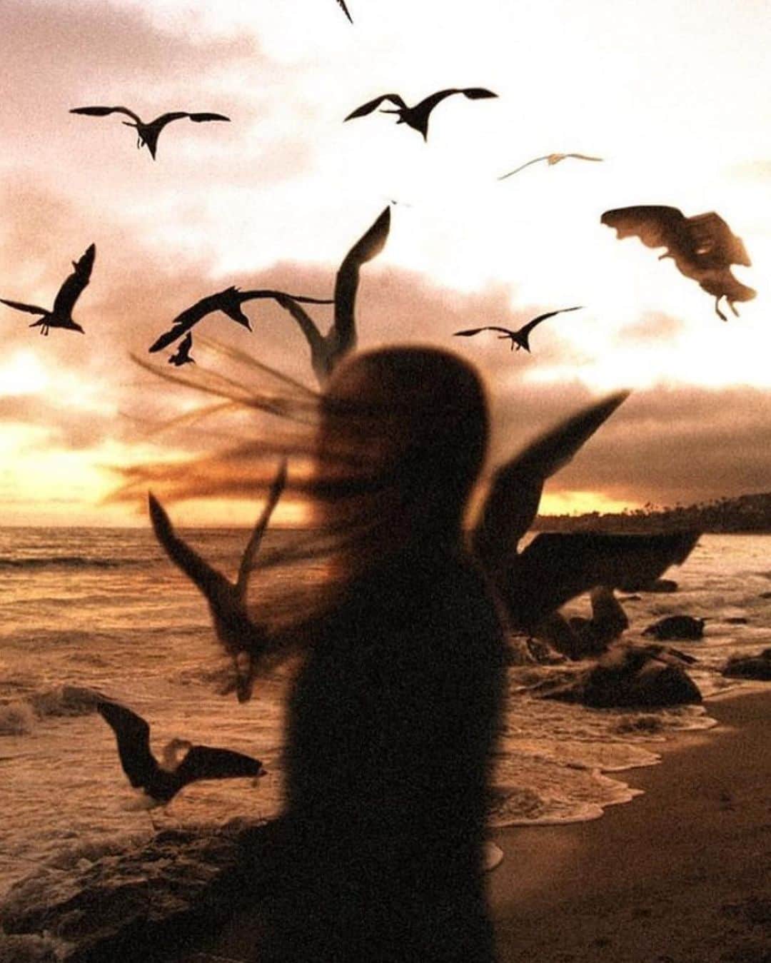 メドモアゼルのインスタグラム：「And I feel your hope, And I know it’s good 🕊 spring summer collection 21  📸 @evan.murphy 🧡  #inspiration #mesdemoisellesparis #springsulmer21」