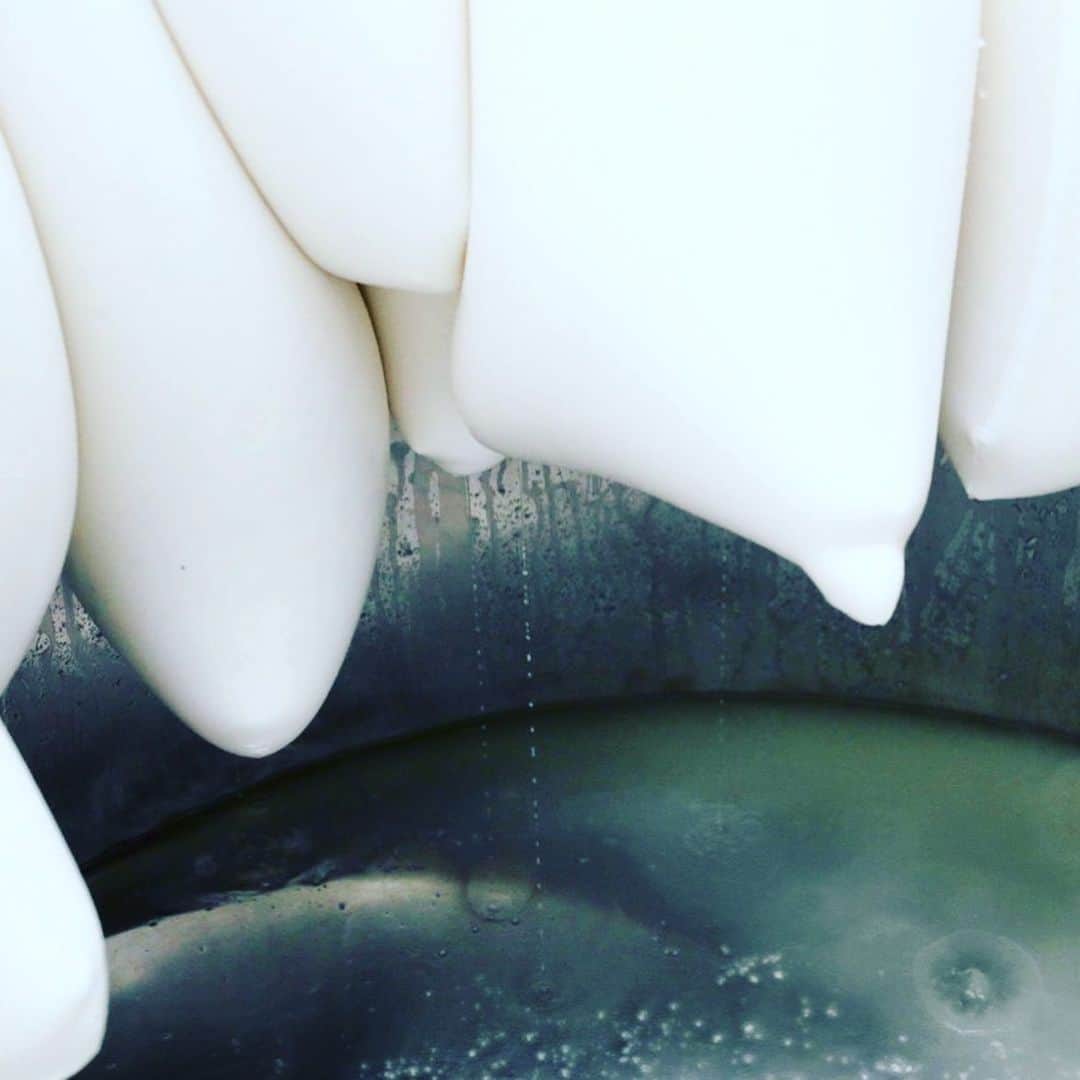 宮田麺児さんのインスタグラム写真 - (宮田麺児Instagram)「田植えから始まった 携わった人全ての「物語」が詰まった日本酒。  感謝しかない。」2月11日 21時38分 - miyatamenji