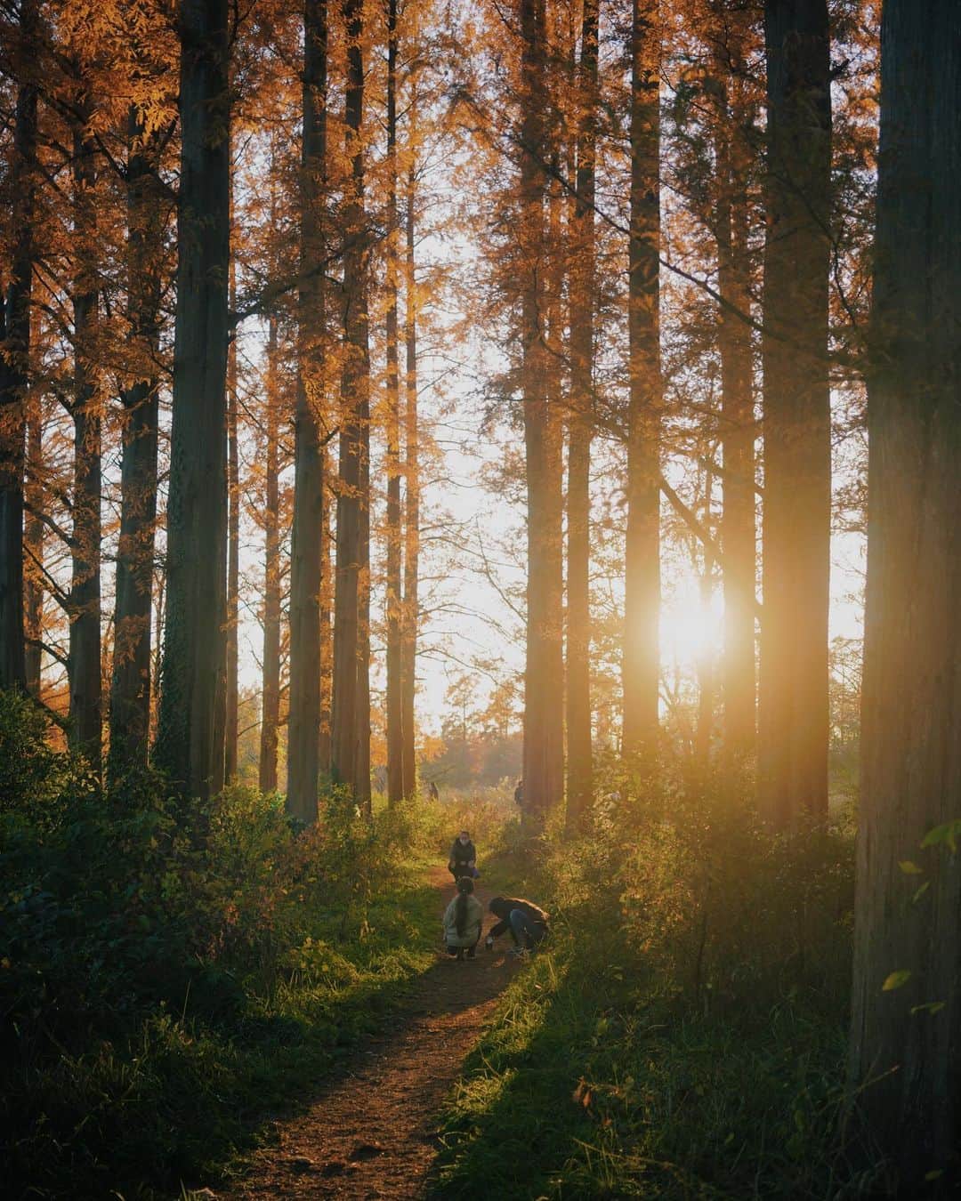 ima_ju / Jun Iのインスタグラム：「: : EDEN : : ::」