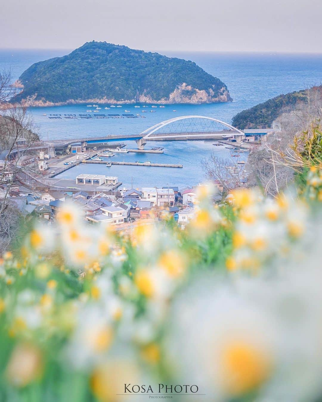 コサさんのインスタグラム写真 - (コサInstagram)「水仙の丘 水仙と海の見えるこの景色が好きで、ここ毎年通ってる気がする😆 . Location:和歌山 Wakayanma / Japan🇯🇵 Date:2021年1月 . #水仙 #由良 #insta_wakayama #グッドトリップ和歌山 #visitwakayama #ひだかさんぽ #恋するひだか #乗り越えようnippon #ニコン #写真は私の原動力 #arrowsあなたが夢中な世界 #思いをつなぐフォト #tokyocameraclub #team_jp_ #photo_jpn #ptk_japan #bestjapanpics #Lovers_Nippon #Impressive_gallery #sorakataphoto #YourShotPhotographer #light_nikon #LBJ_Legend #広がり同盟メンバー #nipponpic_member #special_spot_legend #s_shot #japan_of_insta #bestphoto_japan #Rox_Captures」2月12日 8時04分 - kosa_photo