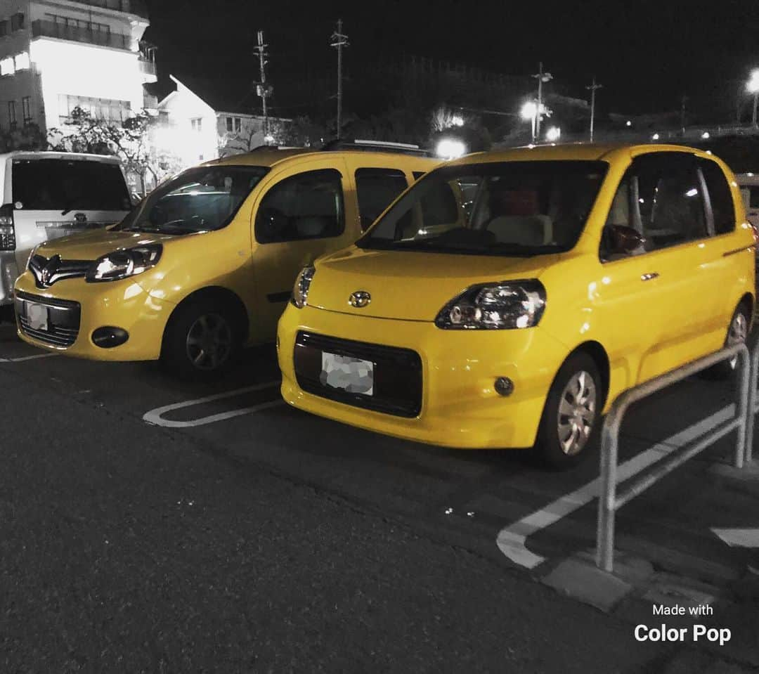 えびちりのインスタグラム：「そっくりさん発見ー ポルテだったかな？  #kangoo #カングー #ルノー #カングー好きな人と繋がりたい #ジョンアグリュム #withkangoo」