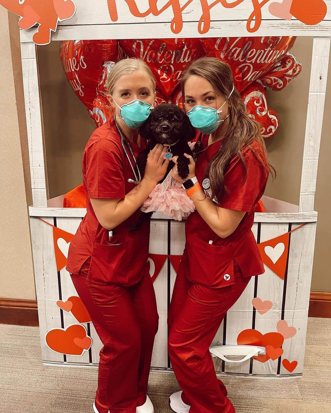 ベイリー・キーのインスタグラム：「Kisses from Sadie the poodle AND first day of clinical! BEST DAY!」