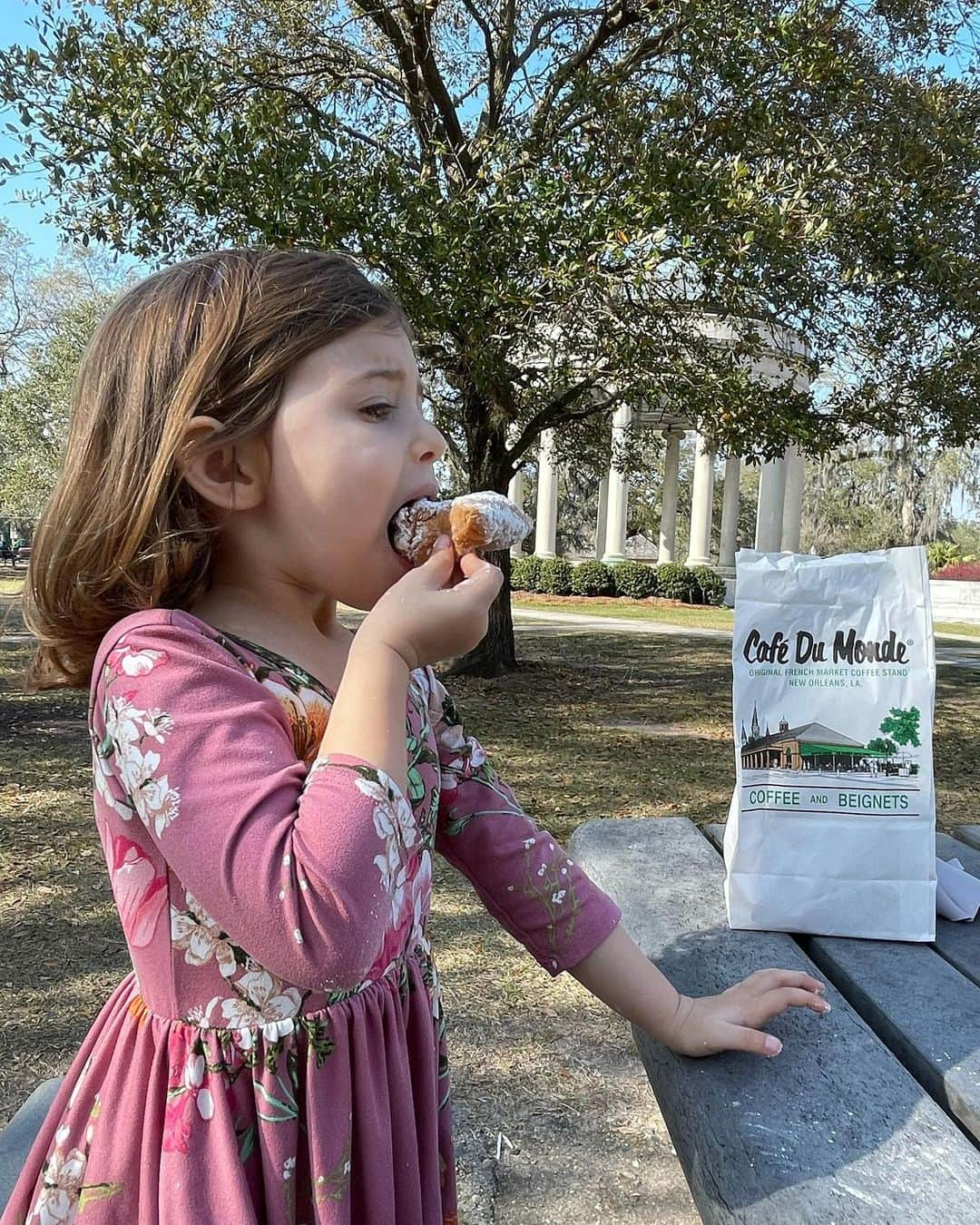 エミリー・デ・レイヴィンさんのインスタグラム写真 - (エミリー・デ・レイヴィンInstagram)「When in New Orleans one must consume many #beignets (obviously from @cafedumonde 😉)  #rvlife #lifeontheroad #mumlife #momlife #sweettooth #neworleans」2月12日 8時36分 - emiliede_ravin