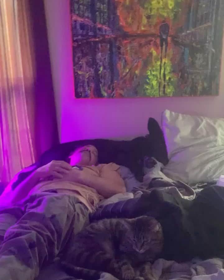 のインスタグラム：「Nicky slipped on ice a few days ago & hurt his back. He’s having a hard time sitting up or getting comfortable. Trying to get him to the doctor ASAP. In the meantime, Dr. Green (dog) & Nurse Jeff (cat) are trying to make him as comfortable as possible.  He’s hoping to do the Buffy commentary & hangouts this weekend. Balance of @cameo orders, calls, videos, & autographs will be done as soon as possible.  -Sarah & T」