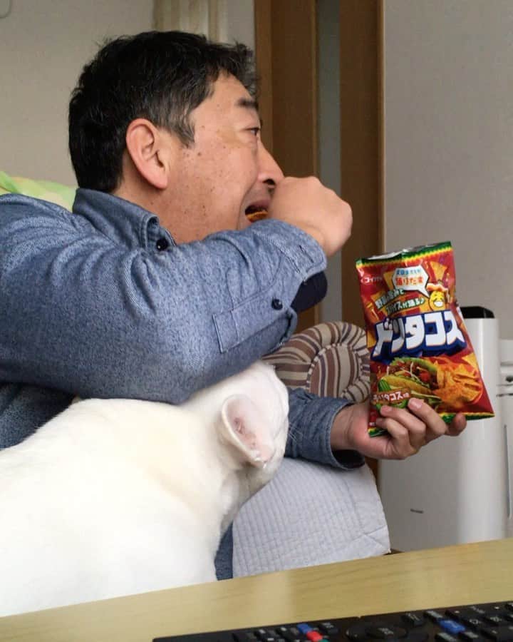ちえぶぅたのインスタグラム：「おじさんが菓子を食べるのを、おじさんが見つめるだけの動画。」