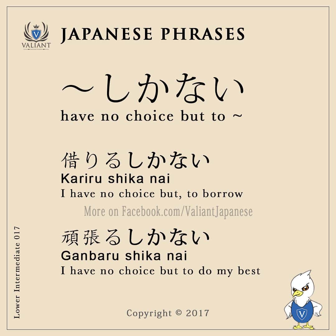Valiant Language Schoolさんのインスタグラム写真 - (Valiant Language SchoolInstagram)「・ 🖌: @valiantjapanese ・ ⛩📓: Simple Japanese Phrases 🧑🏻‍🏫  . Let’s study Japanese with ValiantJapanese ! . . . . . . . . .  #japón #japonês #japaneselanguage #japones #tokio #japonais #roppongi #ig_japan #japanesegirl #日本語 #漢字 #英語 #ilovejapan #도쿄 #六本木 #roppongi #日本  #일본 #Япония #hiragana #katakana #kanji  #indy_photolife #as_member  #japan_of_insta  #tokyocameraclub  #super_japan_channel」2月12日 0時46分 - valiantjapanese