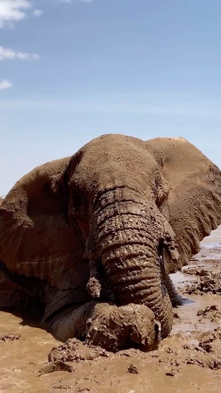 ナショナルジオグラフィックのインスタグラム