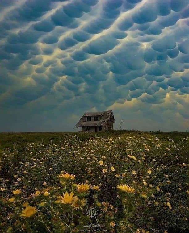 Discover Earthさんのインスタグラム写真 - (Discover EarthInstagram)「Mammatus clouds at sunset with a supercell storm dying nearby. Mammatus clouds are pouch-like protrusions hanging from the undersides of clouds, usually thunderstorm anvil clouds but other types of clouds as well. Composed primarily of ice, these cloud pouches can extend hundreds of miles in any direction, remaining visible in your sky for perhaps 10 or 15 minutes at a time.  🇺🇸 #discoverTexas with @steve_kesedakis_photography . . . .  #mammatus  #clouds  #mammatusclouds  #sky  #storm  #cumulonimbus  #nature  #sunset  #weather  #chmury  #cloudporn  #stormchaser  #autumn  #landscape  #poznań  #thunderstorm  #naturephotography  #nofilter  #stormchasing  #beautiful  #cloud  #nuvole  #photography  #picoftheday  #summer  #czechrepublic  #texas ​#austin ​#dallas」2月12日 1時00分 - discoverearth