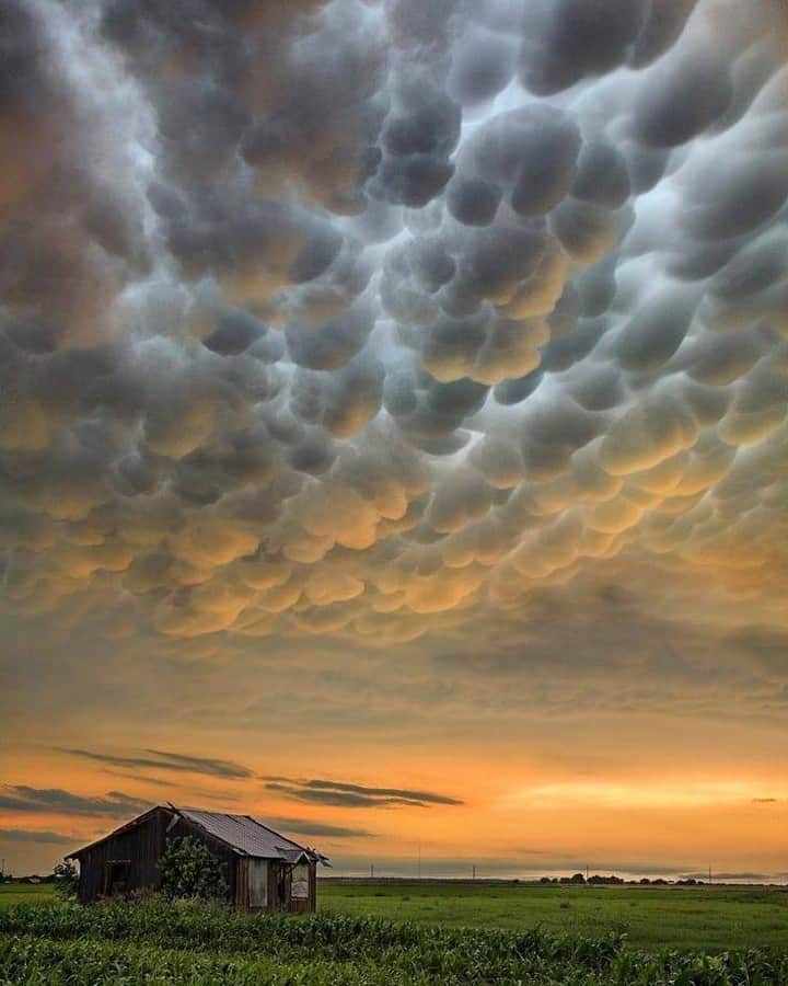 Discover Earthさんのインスタグラム写真 - (Discover EarthInstagram)「Mammatus clouds at sunset with a supercell storm dying nearby. Mammatus clouds are pouch-like protrusions hanging from the undersides of clouds, usually thunderstorm anvil clouds but other types of clouds as well. Composed primarily of ice, these cloud pouches can extend hundreds of miles in any direction, remaining visible in your sky for perhaps 10 or 15 minutes at a time.  🇺🇸 #discoverTexas with @steve_kesedakis_photography . . . .  #mammatus  #clouds  #mammatusclouds  #sky  #storm  #cumulonimbus  #nature  #sunset  #weather  #chmury  #cloudporn  #stormchaser  #autumn  #landscape  #poznań  #thunderstorm  #naturephotography  #nofilter  #stormchasing  #beautiful  #cloud  #nuvole  #photography  #picoftheday  #summer  #czechrepublic  #texas ​#austin ​#dallas」2月12日 1時00分 - discoverearth