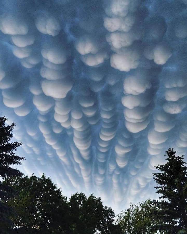Discover Earthさんのインスタグラム写真 - (Discover EarthInstagram)「Mammatus clouds at sunset with a supercell storm dying nearby. Mammatus clouds are pouch-like protrusions hanging from the undersides of clouds, usually thunderstorm anvil clouds but other types of clouds as well. Composed primarily of ice, these cloud pouches can extend hundreds of miles in any direction, remaining visible in your sky for perhaps 10 or 15 minutes at a time.  🇺🇸 #discoverTexas with @steve_kesedakis_photography . . . .  #mammatus  #clouds  #mammatusclouds  #sky  #storm  #cumulonimbus  #nature  #sunset  #weather  #chmury  #cloudporn  #stormchaser  #autumn  #landscape  #poznań  #thunderstorm  #naturephotography  #nofilter  #stormchasing  #beautiful  #cloud  #nuvole  #photography  #picoftheday  #summer  #czechrepublic  #texas ​#austin ​#dallas」2月12日 1時00分 - discoverearth