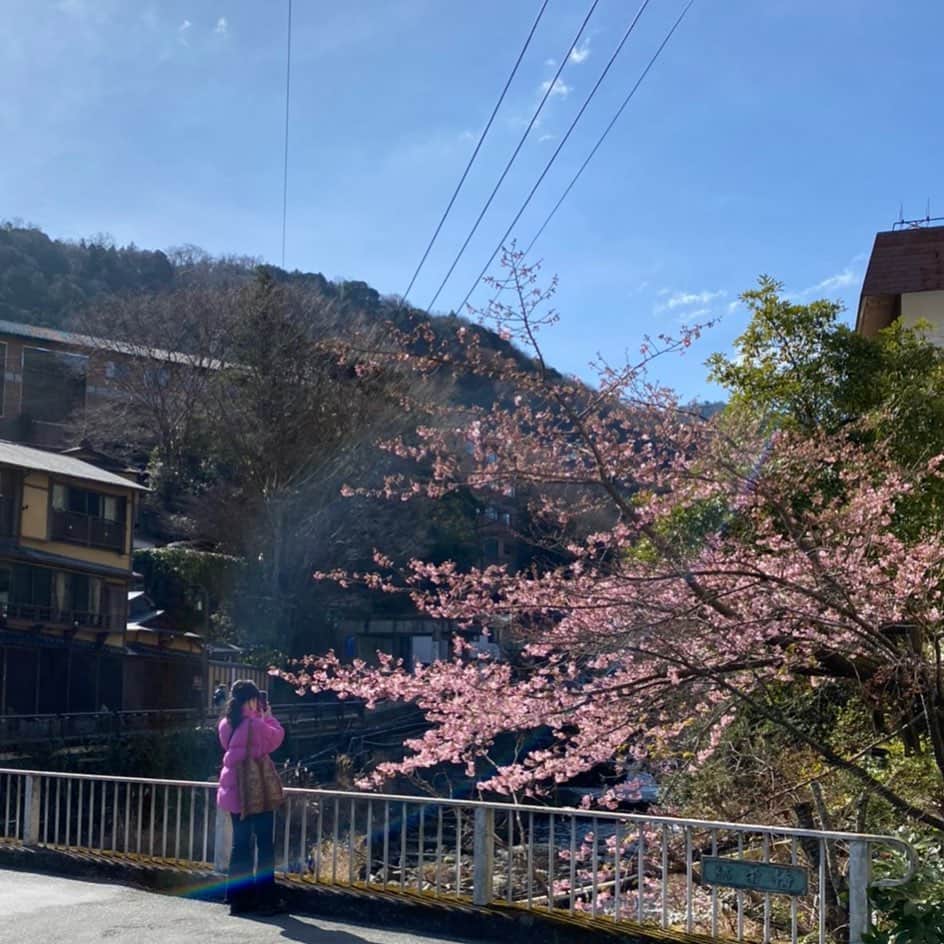 長澤メイのインスタグラム：「🐉🌈✨」