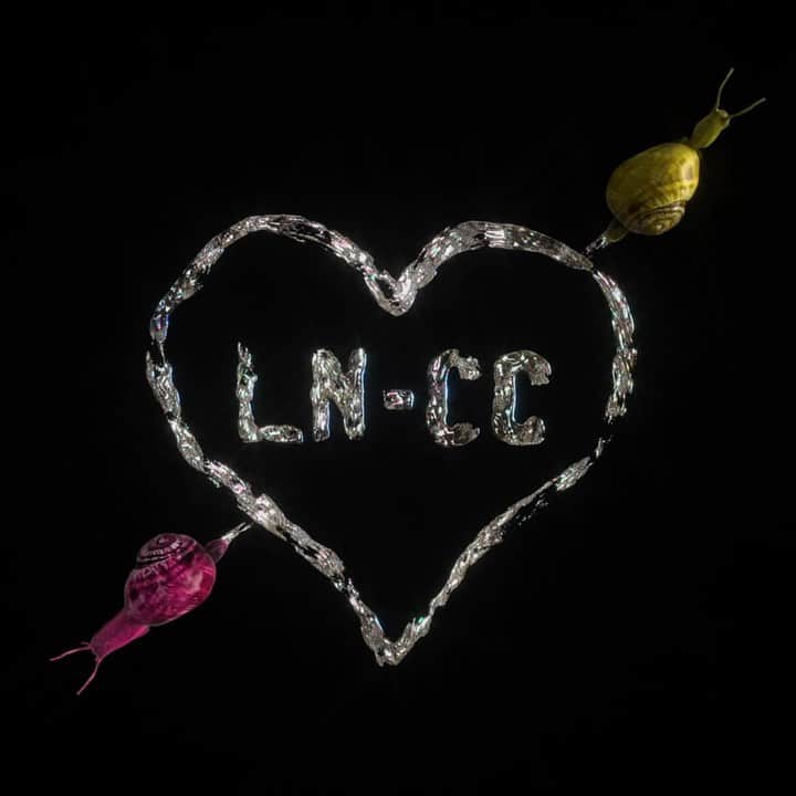 エルエヌシーシーのインスタグラム：「Set the tone for a 2021 filled with love. Whether treating yourself, a friend, or your beloved this season, fall foot over shell for LN-CC’s curated selection of pieces to cherish now and forever. 3D Artwork @darlingtonjay」