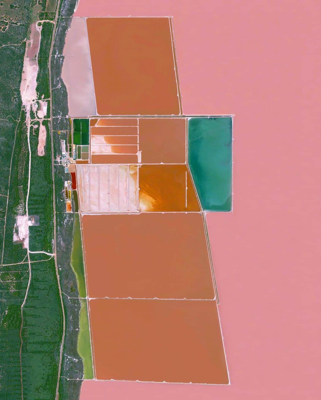 Daily Overviewさんのインスタグラム写真 - (Daily OverviewInstagram)「Hutt Lagoon is a massive lake in Western Australia that gets its pink color from a particular type of algae — Dunaliella salina — that grows in the water. The lagoon contains the world’s largest microalgae production plant, where the algae is farmed for its beta-carotene and then used as a food‑coloring agent and source of Vitamin A in other products. Hutt Lagoon also provides a commercial supply of Artemia brine shrimp, a specialty feed used by prawn and fish farmers and in the aquarium fish trade. — Created by @overview Source imagery: @maxartechnologies」2月12日 3時15分 - dailyoverview