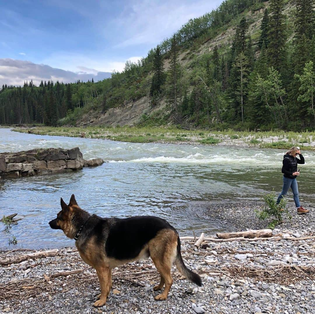 ロビン・ライトさんのインスタグラム写真 - (ロビン・ライトInstagram)「Prepping to shoot the river sequences for @landthefilm ...what an incredible experience it was to shoot this film in beautiful Alberta, Canada! 🙏🙋‍♀️ 🇨🇦 @focusfeatures #landthemovie #landthefilm #land #focusfeatures #keepalbertarolling #canada #directing #animaltalent #moviedogs #dogactor #lovemycrew #lovemyjob」2月12日 3時41分 - robingwright