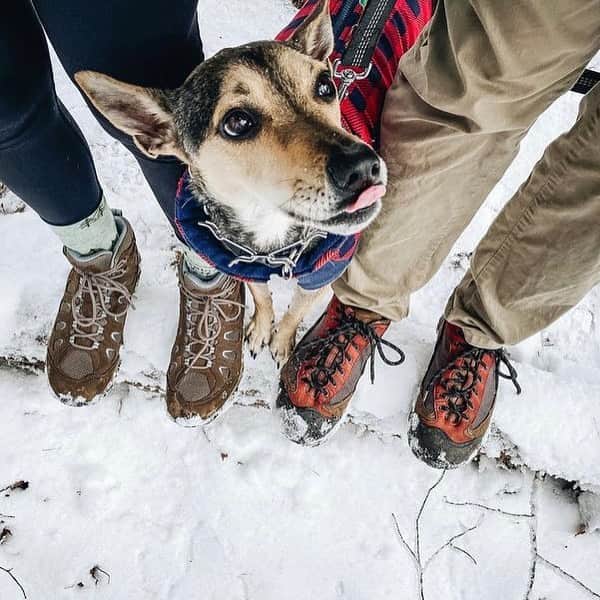 オボズのインスタグラム：「Beam Me Out, Scotty!   Time to lace up and transport ourselves to an adventure-filled trailhead 🥾  📸 @nofinerthanleviner」