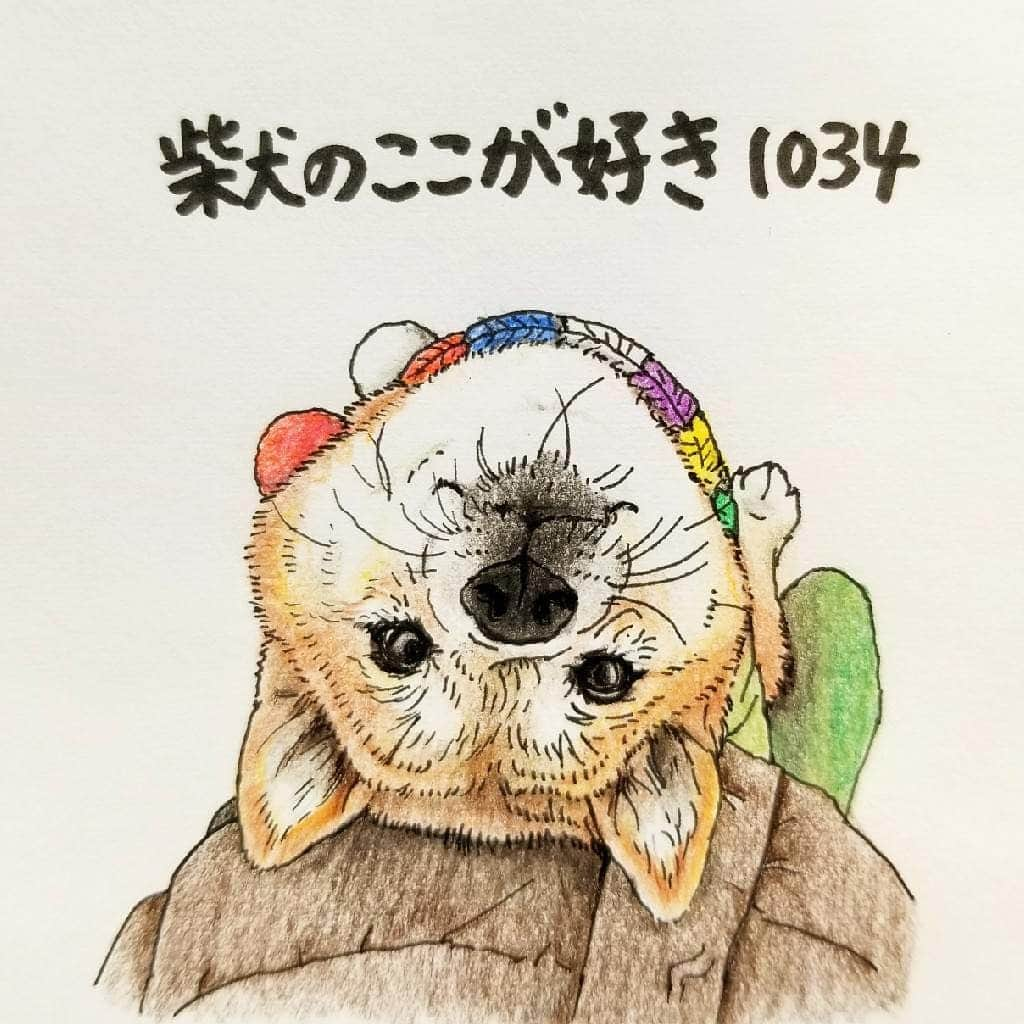 ハナとソラさんのインスタグラム写真 - (ハナとソラInstagram)「#ここ柴部  『柴犬のここが好きシリーズ1034』 ふと足元を見たときに  目が合ってきゅんとなるとこ。  いつから見てたの？ 目が合うと嬉しい💓 * モデルは @shiba.mufu さんとこの福くんです💓 * #柴犬のここが好き #favoritepartsofshibainu #illustration #shibainu #shibastagram #colorpencil #柴犬 #イラスト #いらすとぐらむ #しばすたぐらむ #色鉛筆 #きゅんです #キュン #柴公園イラスト #柴公園」2月12日 9時21分 - nsdikm_hanasora