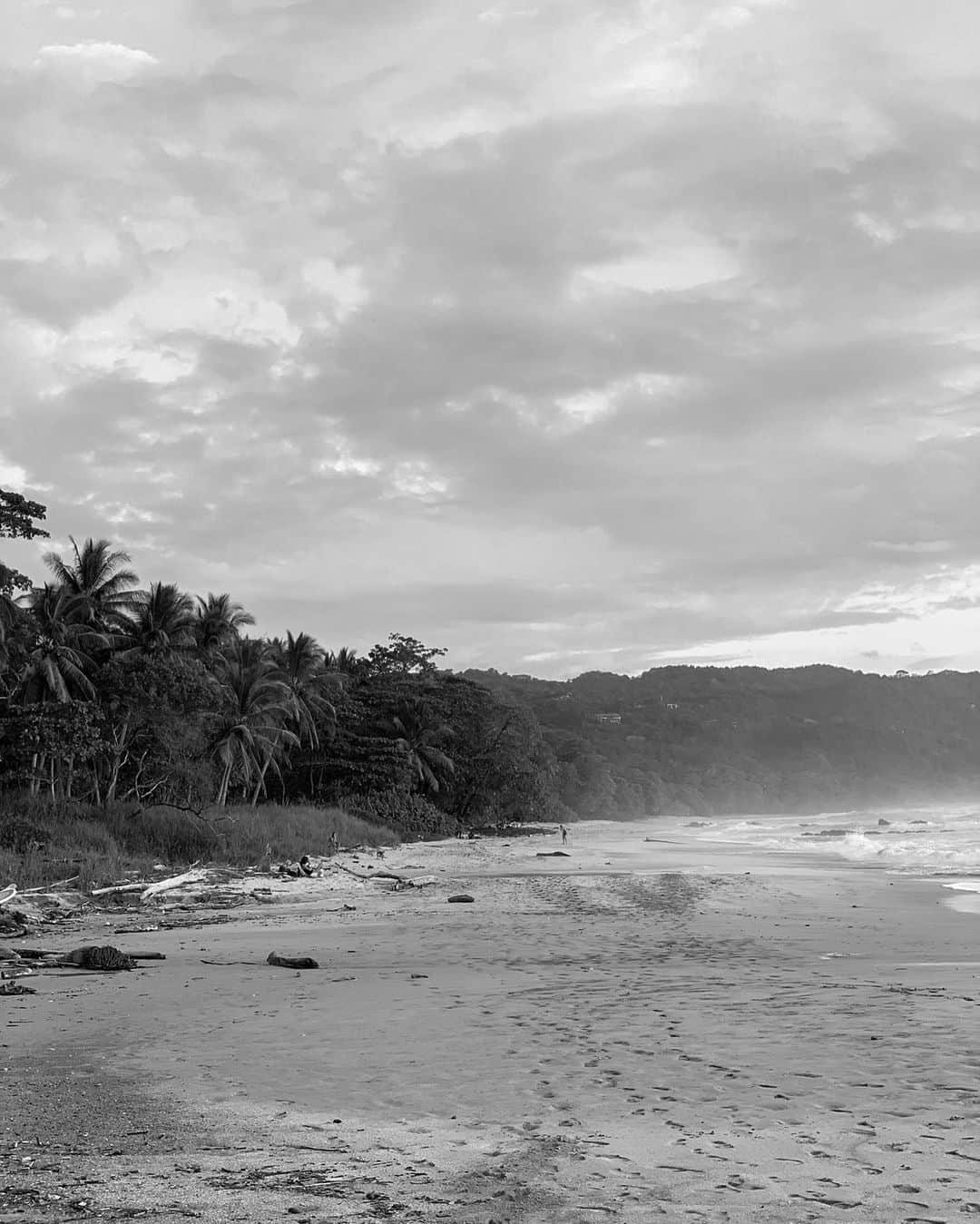 アンジェリカ・ブリックさんのインスタグラム写真 - (アンジェリカ・ブリックInstagram)「COSTA RICA 2019🕊」2月12日 4時13分 - angelicablick