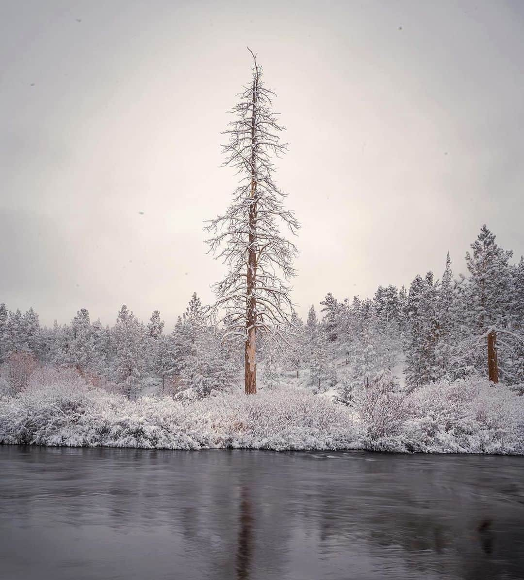 NikonUSAさんのインスタグラム写真 - (NikonUSAInstagram)「Marveling in the wonders winter has to offer.  ❄️📸 by @matt_oliphant_photography with the Nikon Z 6 and NIKKOR Z 14-30mm f/4 S: "I had visited this same spot 24 hours earlier with no snow. It’s amazing 🤩 how snow completely changes the landscape and simplifies the scene. It also creates a sense of stillness that no other season can quite match."  #Zcreators #NikonZ6 #landscapephotography #winterphotography #NikonNoFilter #NIKKORZ」2月12日 4時46分 - nikonusa