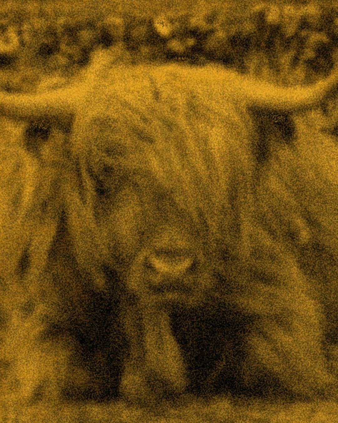エルエヌシーシーのインスタグラム：「LN-CC Celebrates: The Year Of The Ox」