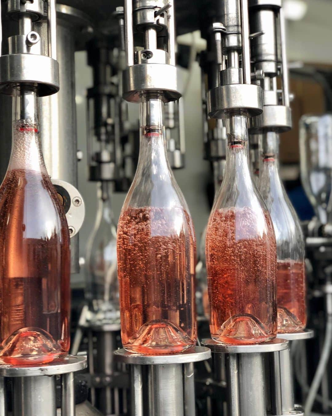 ダニカ・パトリックさんのインスタグラム写真 - (ダニカ・パトリックInstagram)「Rośe all day. @somniumwine bottling day. 💗」2月12日 6時09分 - danicapatrick