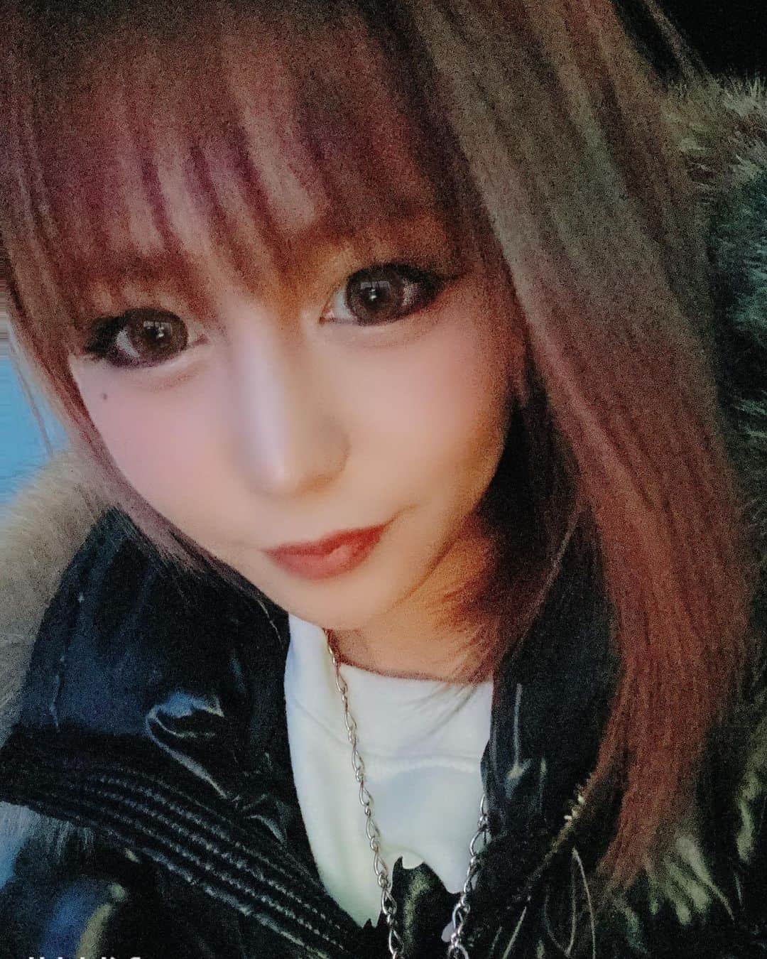 のインスタグラム：「おやすみ🐥」