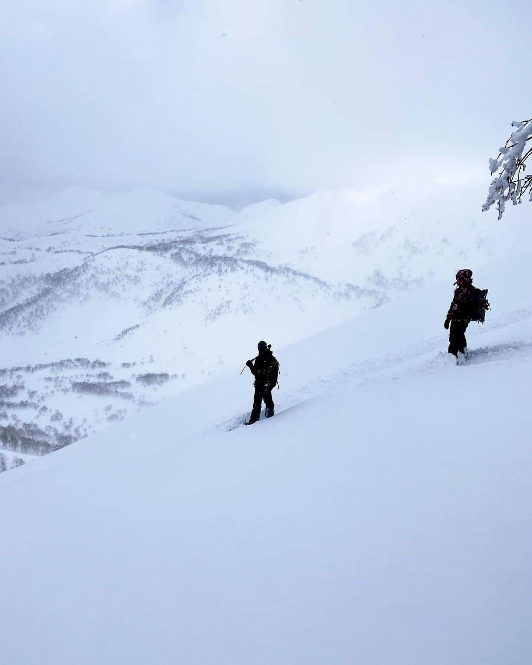 金子藍さんのインスタグラム写真 - (金子藍Instagram)「山の魅力にどんどん引き込まれる  そう思うのもいつも一緒にいてくれる @kaorimayaguchi  @osamu_usami  のおかげ  #snow #snowboarding #北海道 #ニセコ」2月12日 6時42分 - aikaneko_surf