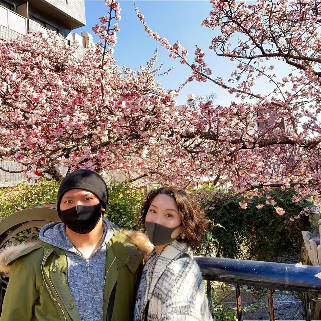 吉井奈々のインスタグラム：「一足早く、満開の桜で春を感じてきました🌸﻿ ﻿ 静岡県熱海市にある｢糸川遊歩道｣には﻿ ｢熱海桜｣という日本で最も早く咲く桜なんですって🤩﻿ ﻿ この「熱海桜」の開花が早い理由は、﻿ 元々は日本の桜ではなく﻿ 毎年1月上旬に咲くインド原産の寒桜の一種であることが理由らしいです🌸﻿ ﻿ 明治4年ごろ、イタリア人によって伝わったとされ市内の多くに植えられたそうな☺️﻿ ﻿ こんなに早く満開の桜を楽しめたのは初めて💖﻿ とても素敵な体験でしたー♪﻿ ﻿ ﻿ そして、糸川遊歩道から歩ける距離にある﻿ ｢熱海梅園｣﻿ ﻿ こちらも素敵でした🥰﻿ ﻿ 白、桃、紅、春色の梅の花が咲き誇る光景が、﻿ とても雅やかで、﻿ ﻿ 航平が｢こんなに近くにこんないい場所あるんだから、毎年来ようよ♪｣と言ってくれて﻿ ﻿ これからこの時期は熱海で﻿ 温泉と桜と梅を毎年楽しもうと思います☺️﻿ ﻿ 毎年、同じ旅館に泊まるというのは﻿ マンガ『蔵の宿』を読んでから﻿ 少し憧れていたのでとても嬉しい提案💖﻿ ﻿ ﻿ もう少しで、春ですね(◍ ´꒳` ◍)﻿ ﻿ #熱海桜 #満開の桜 #熱海梅園 #お花見 気分 #蔵の宿 #毎年の楽しみ   #夫婦生活 #子なし夫婦  #幸せ  #上質な暮らし #幸せな生活  #言葉はプレゼント #lgbt結婚  #主婦  #オネエ #元男子 #起業女子 #男に生まれて女になって結婚もできました  #吉井奈々」