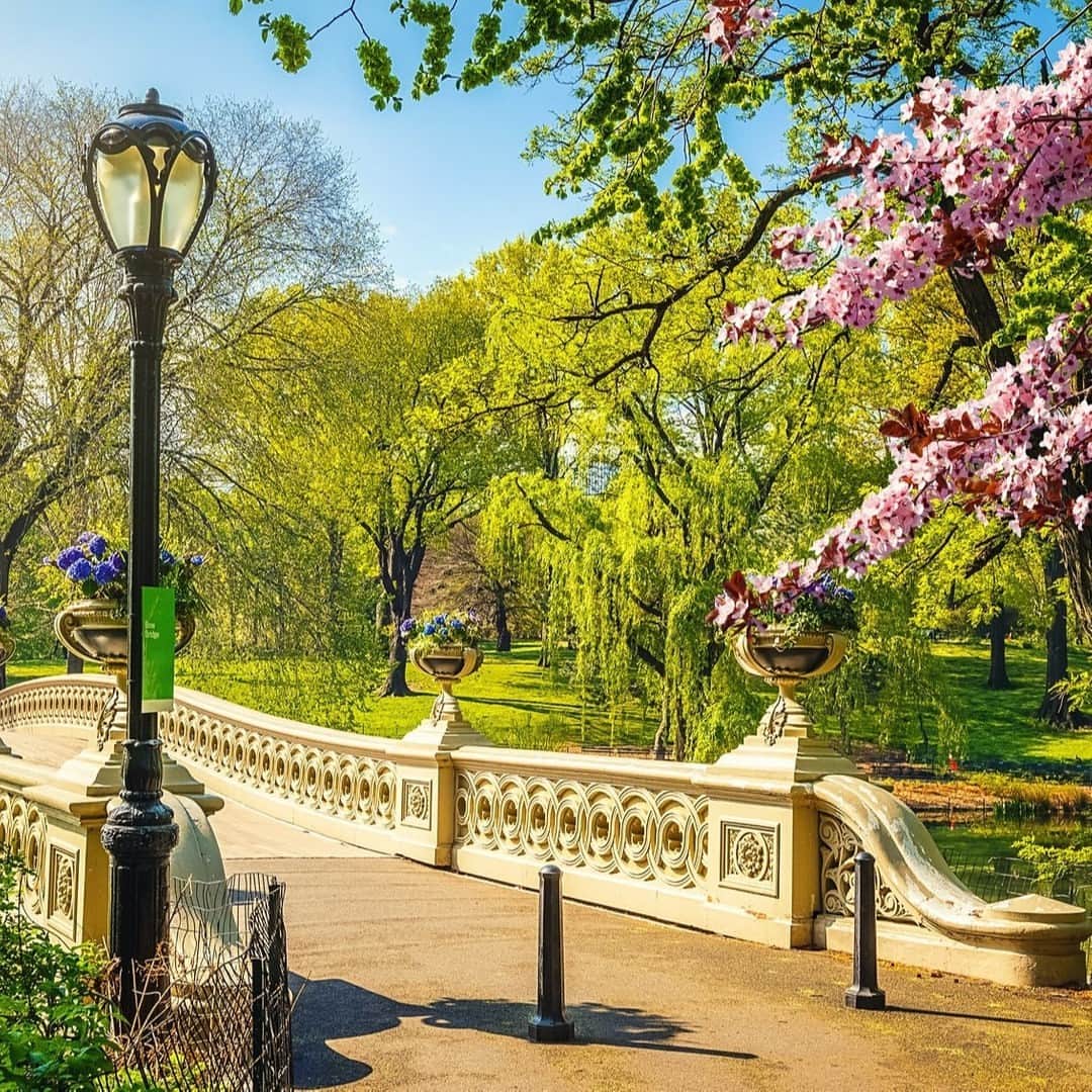 Lonely Planetのインスタグラム：「Here's a bit of fun news from New York State! ⠀⠀⠀⠀⠀⠀⠀⠀⠀ ⠀⠀⠀⠀⠀⠀⠀⠀⠀ The upcoming NY PopsUp festival will see hundreds of free pop-up concerts, recitals, comedy and theatrical performances taking place in venues across the state. ⠀⠀⠀⠀⠀⠀⠀⠀⠀ ⠀⠀⠀⠀⠀⠀⠀⠀⠀ Check out all the details in our link in bio.」