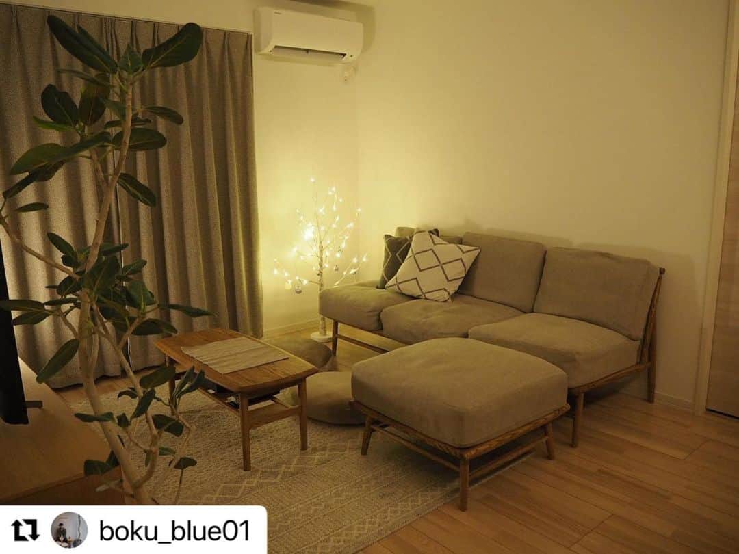 ［賃貸住宅シャーメゾン］さんのインスタグラム写真 - (［賃貸住宅シャーメゾン］Instagram)「大きなシンボルツリーが主役級の存在感をみせる @boku_blue01 さんのお部屋。ツリーのようなかたちの間接照明も印象的です💡  シンプルなインテリアだからこそ、グリーンとライティングがとても映えますね🪴ほのかな明るさの中過ごすリラックスタイムが楽しみになりそうです✨  #repost #リポスト #シャーメゾン #シャーメゾンのお部屋 #積水ハウス #実例 #インテリア #賃貸インテリア #スタイリング #シンプルインテリア #リビングルーム #フロアランプ #間接照明 #観葉植物 #styling #simple #relax #interiordesign #homedecor #livestagrammer #roomclip #instahome #oneroom #livingroom #floorlamp #green #plants」2月12日 17時03分 - styling_shamaison