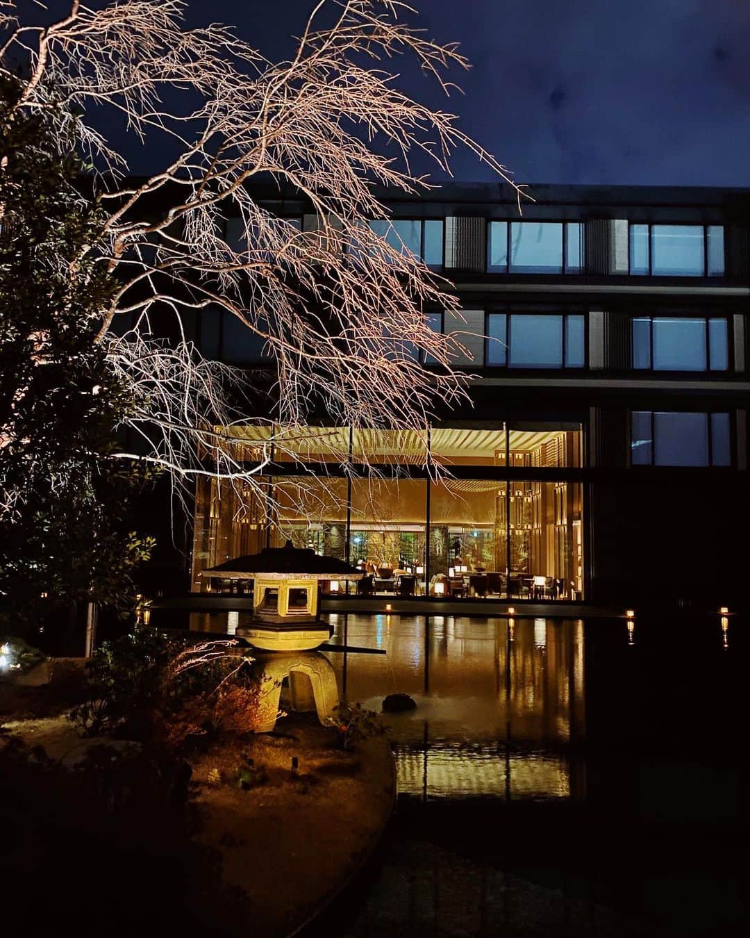 湯浅喬子さんのインスタグラム写真 - (湯浅喬子Instagram)「🍂  また桜の季節にも来れるといいなぁ🌸  @hotel_the_mitsui_kyoto   #hotelthemitsuikyoto  #kyoto#kyotohotel #ホテルザミツイ京都」2月12日 17時42分 - kyorco