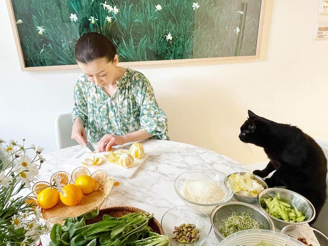 のインスタグラム：「今日は、YouTube用にお料理の撮影をしました。我が家の定番パスタの作り方をご紹介しますので、どうぞお楽しみに！ 着ているワンピースは、ミモザの花柄で春らしい色合い...ハウスオブロータスの春物で、もうすぐ店頭に並びます。 #ハウスオブロータス #houseoflotus」