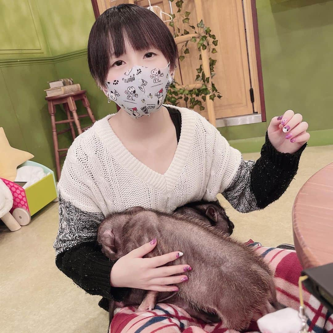 小山星奈さんのインスタグラム写真 - (小山星奈Instagram)「#豚カフェ」2月12日 18時02分 - sena_pimms