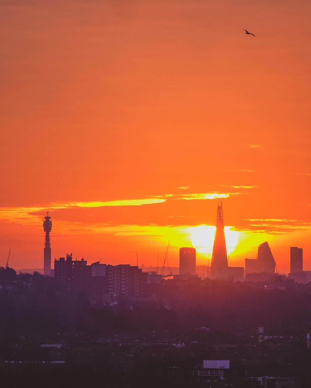 @LONDON | TAG #THISISLONDONさんのインスタグラム写真 - (@LONDON | TAG #THISISLONDONInstagram)「🌄 @MrLondon with an incredible sunrise in London this morning! 🌇 More on our stories! Enjoy!! 🔥❤️  ___________________________________________  #thisislondon #lovelondon #london #londra #londonlife #londres #uk #visitlondon #british #🇬🇧 #bttower #shard #theshard #wembleypark #wembley #walkietalkie」2月12日 18時09分 - london