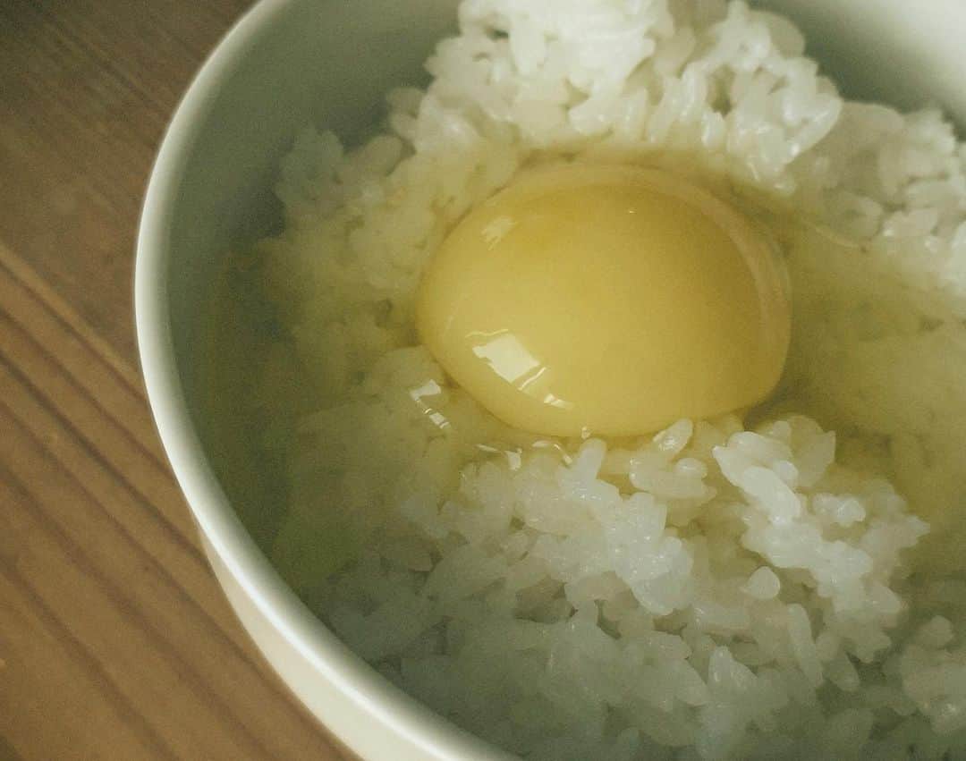 佐藤乃莉さんのインスタグラム写真 - (佐藤乃莉Instagram)「白いきみもステキ…  #egg#玉子#生卵#生」2月12日 9時26分 - nori_sato_