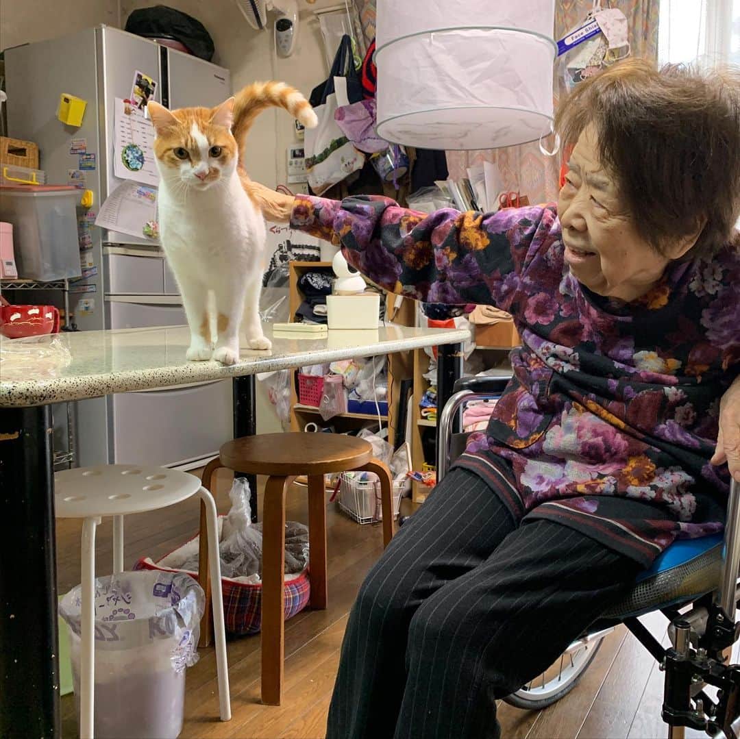 Kachimo Yoshimatsuさんのインスタグラム写真 - (Kachimo YoshimatsuInstagram)「朝からバーバちゃんに腰ポンされた。 #うちの猫ら #猫 #oinari #バーバ #バーバと猫 #ねこ #cat #ネコ #catstagram #ネコ部 http://kachimo.exblog.jp」2月12日 9時48分 - kachimo