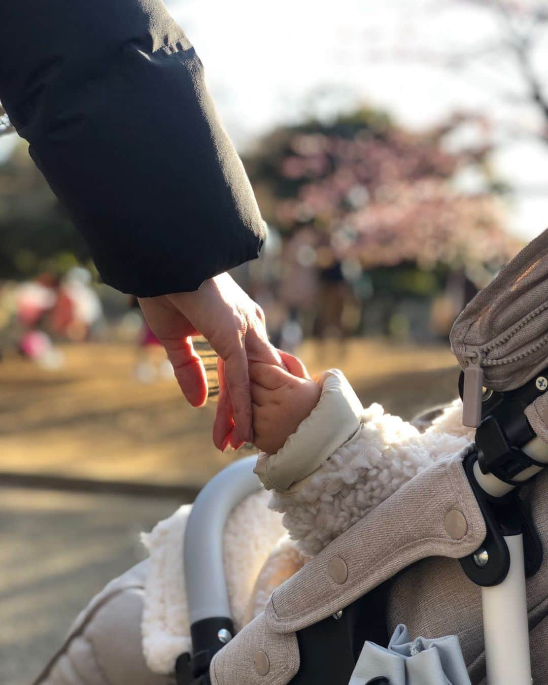 白石みきのインスタグラム：「ぎゅっ♡ 昨日の公園。 もう梅の花が咲いていました。 もうすぐ　春だねぇ〜♡  #公園 #散歩 #1歳 #夫撮影 #やるじゃん#上から目線 w」