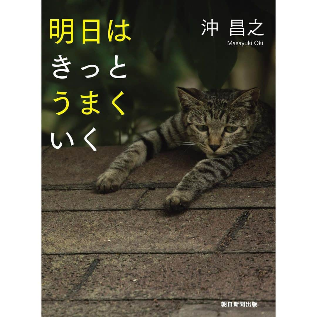 Masayukiさんのインスタグラム写真 - (MasayukiInstagram)「全国の書店およびAmazon等のオンライン書店にて こちらの写真集 好評発売中！  ○　明日はきっとうまくいく 読んだらちょっぴり元気でる！『明日はきっとうまくいく』 アートディレクター 三村漢さんにお願いして仕上がったメッセージブック。 印刷所まで行って色を出しただけあって いい色でてる！  ○　沖昌之の写真絵本1 にゃんこ相撲 下町編  絵本は「ぶさにゃん」を作る前からずっと夢に思ってたので感慨深いです。 果たして 次の編は出てくるのか！！  ○　必死すぎるネコ ~前後不覚 篇  前作から2年。 やっとこさ 納得のいく『必死』がそろいました。 前作同様  猫びより編集部 ゆ。さんと アートディレクター山下リサさんと試行錯誤して作り上げました。 楽しんでいただけてるといいな。  ○　かくれネコ 本人は上手に隠れてる？！ みなさんのとっておきのねこさんが主役『かくれネコ』 たくさんのご応募いただいた かくれネコ の写真に 癒されながら 悩みながら選びました。 いい思い出。  ○　猫から目線 キャプション嫌いなぼくと ことばに力を持つ及川眠子さんとのマリアージュ。 力強さを感じる硬派な本に仕上がりました。 帯がMISIAさんってのも自分でも驚き！  ○　ニャン生訓 ライターの熊谷 あづささんのお力を借りて 江戸時代の健康指南書 『養生訓』 とコラボしました。 貝原益軒さんと名前を並べるときが来るなんて！ 表紙も含めて イラストは漫画家の堀道広さん、 帯は養老孟司さん！！！  #美の壺 #ねこ自慢」2月12日 10時06分 - okirakuoki