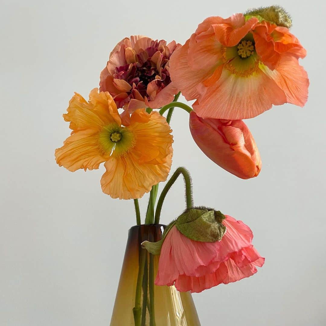 大塚良子さんのインスタグラム写真 - (大塚良子Instagram)「#beautiful #flowers #nyc  #lifeisgood  #花のある暮らし」2月12日 10時09分 - ryokokonami