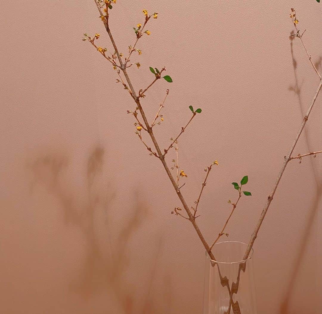 川栄李奈さんのインスタグラム写真 - (川栄李奈Instagram)「26歳になりました〜！ 深夜にラーメン食べました。 そんな日も、たまには、いいよね🥲？ おうちのレンギョウ 誕生花が2月12日なんです。 花は枯れてしまったけど 枝から葉っぱが生えてきて生命力を感じてます🌼 あと、ファンの方が作ってくれそうな可愛いやつ ゆいはんが0時ピッタリに送ってくれたの🤣 友よ、ありがとう。 周りの方々に感謝しながら 26歳も楽しく元気に過ごしていきたいと思います♡」2月12日 10時33分 - rina_kawaei.official