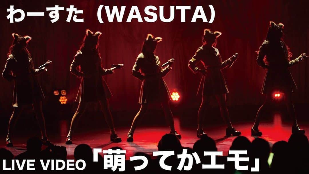 わーすたのインスタグラム：「🌟Wasuta "Moetteka Emo" high-energy live performance!🌟 #nowplaying on #YouTube! (link in bio) Please watch and comment!   *from mini-album "What's Standard?" ➡️ https://avex.lnk.to/wa-suta  #wasuta #わーすた #jpop #idol #japan #かわいい #kawaii #harajuku #japaneseidol #japaneseidols #japanesemusic #newmusic #newalbum #popmusic」
