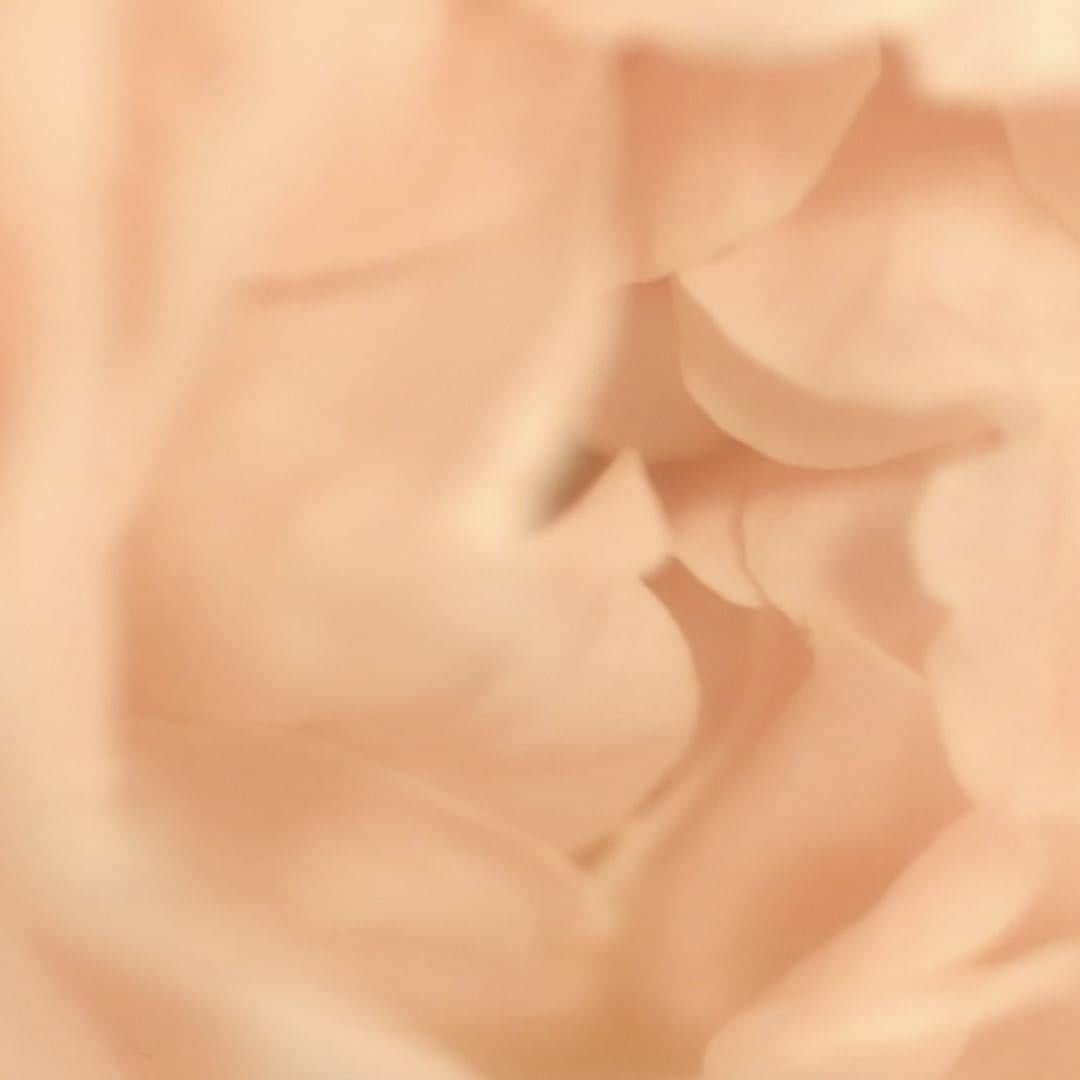 THREEのインスタグラム：「・ ＜植物由来の新成分*で叶えるラディアントスキン＞ THREEの新ベースメイクシリーズで着目したのは、“肌の上にある影”。  覆い隠すのではなく、素肌を活かす新しい補正のアプローチを目指し中で採用したのが、 THREEベースメイク初配合の、「スムースファイバー」による新技術、スムースリフティング効果**。  半透明のファイバーが、薄い「ファイバーネット」となり、 ヴェール状に包みながら引き上げ、肌の一部のようにフィット。  年齢や毛穴による微細な凹凸感までフラットに整え、 肌がキュッと引き締まった状態をキープします。 ―――――――――――――― THREE 2021 NEW BASE MAKEUP 2021年2月24日発売 THREE アドバンスドエシリアルスムースオペレーター プライマー 全1種 30mL 6,050円（税込） THREE アドバンスドエシリアルスムースオペレーター フルイド ファンデーション 全8色 30mL 各8,800円（税込） THREE アドバンスドエシリアルスムースオペレーター ルースパウダー 全2種 10g 各6,050円（税込） ―――――――――――――― 朝になると太陽が昇り、ふたたび世界が晴れ渡るように。  表情からかげりを奪い、生命感あふれる“ラディアントスキン”へと導きます。  *THREEベースメイクに初配合  **メイク効果による #THREE #NEWBASEMAKEUP #threecosmetics #ラディアントスキン」