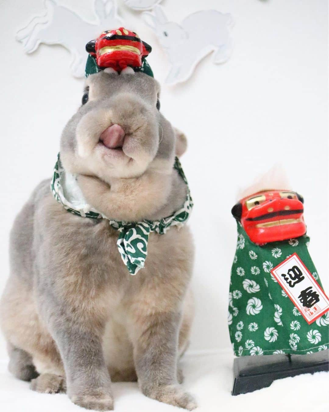 Kayoのインスタグラム：「旧正月やいびーん🎍 今年もみなさまよろしくお願い致します♡ たむけんに憧れたけど、このサングラスじゃなかったww ・ ・ @usako2011.4.8  可愛いししまいありがと❣️」