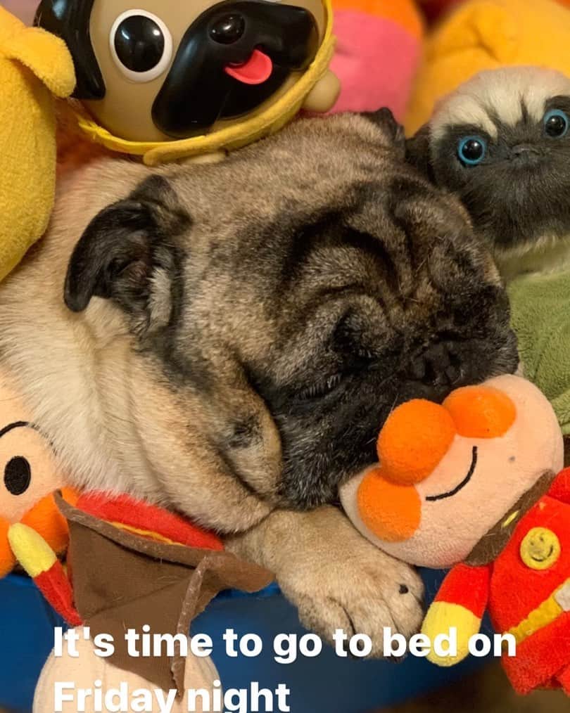 gontaのインスタグラム：「It's time to go to bed on Friday night🤗」