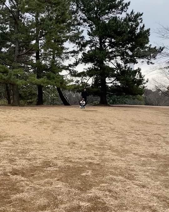 上原誠のインスタグラム：「🚴‍♂️2才  #ストライダー」