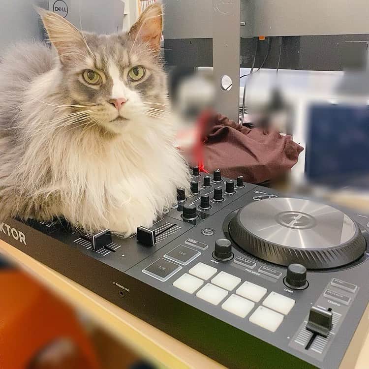相沢あいのインスタグラム
