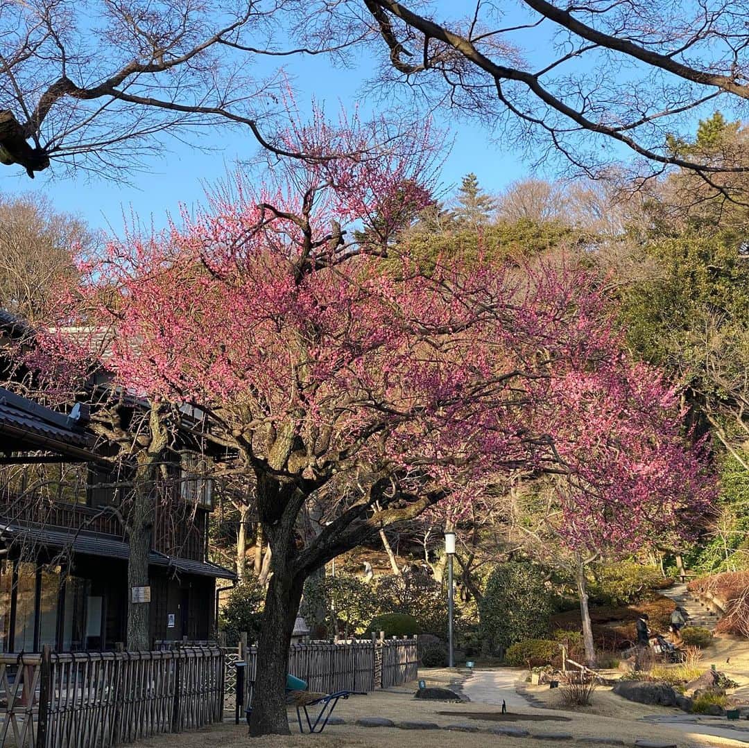 荻原和歌さんのインスタグラム写真 - (荻原和歌Instagram)「毎日の散歩がよい気分転換。」2月12日 13時48分 - ogiwaka
