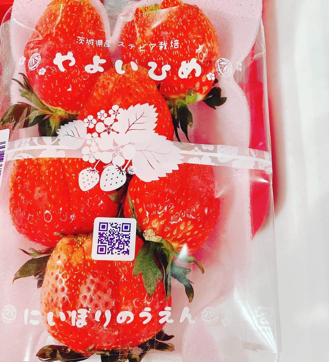 松浦有希さんのインスタグラム写真 - (松浦有希Instagram)「最近、いちご🍓バナナ、 ぶどう（皮ごと食べれる）辺りが主食。 いちごが好きと聞いて...と いただいたのですが、 これは初めて食べました。 独特な美味しさ❣️ #やよいひめ #やよいひめ🍓」2月12日 14時08分 - 12bambi12_yuki_matsuura