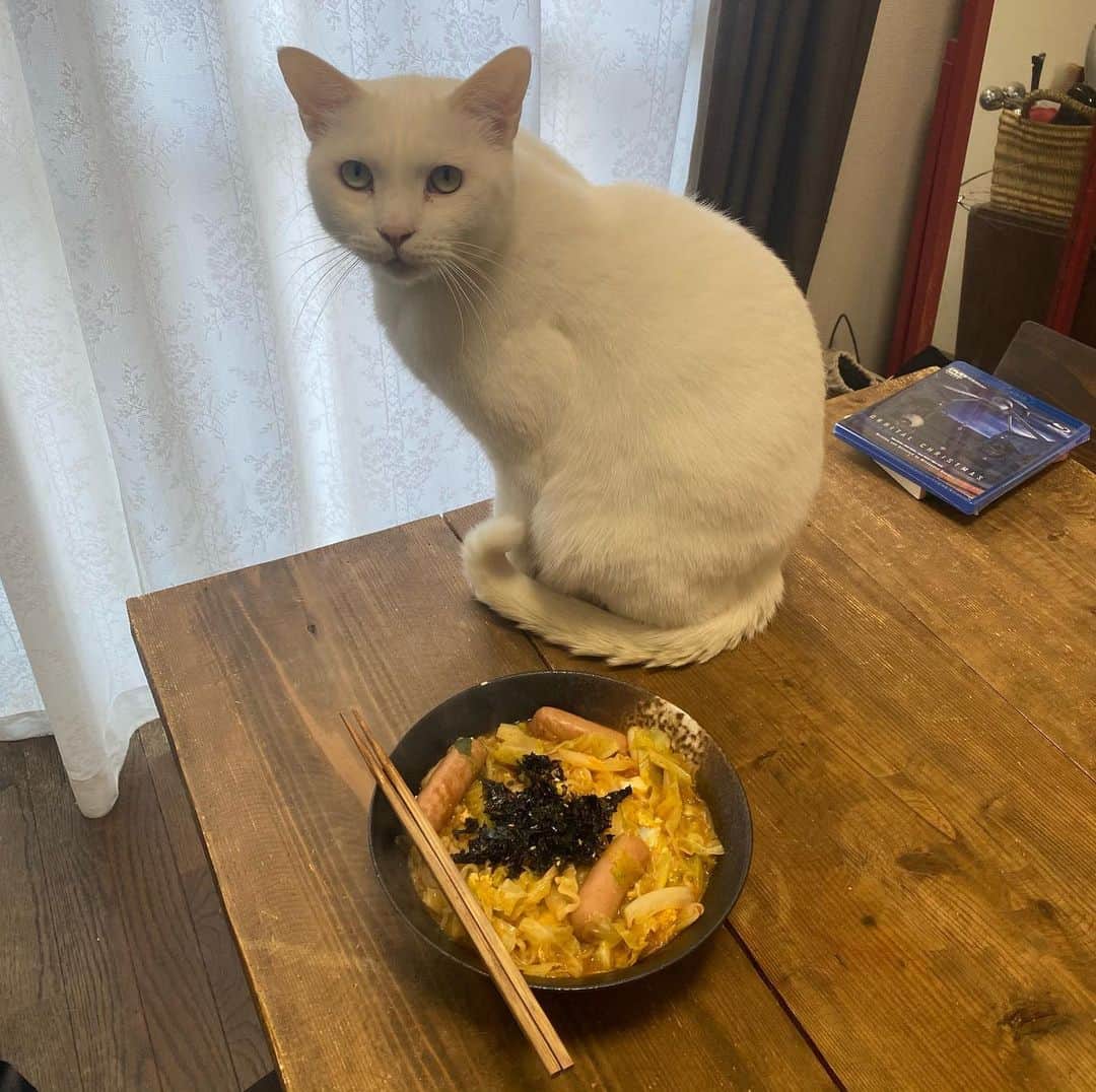 金巻ともこのインスタグラム